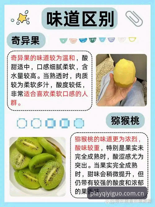 奇异果娱乐城畅玩2026最新版本完整指南——老用户分享升级体验与实用技巧